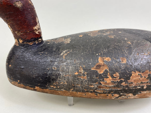 Tobin Meldrum Canvasback Drake, Circa 1930's (#7975)