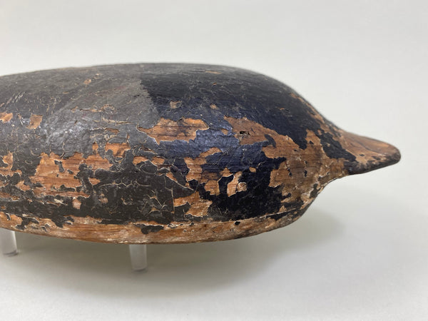 Tobin Meldrum Canvasback Drake, Circa 1930's (#7975)