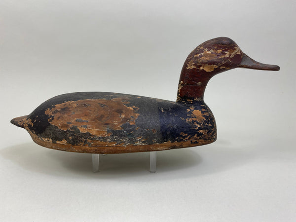 Tobin Meldrum Canvasback Drake, Circa 1930's (#7975)