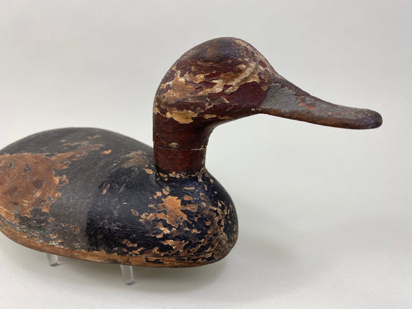 Tobin Meldrum Canvasback Drake, Circa 1930's (#7975)