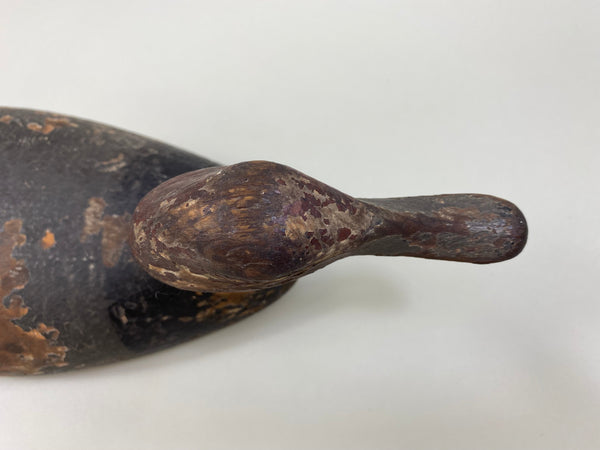 Tobin Meldrum Canvasback Drake, Circa 1930's (#7975)