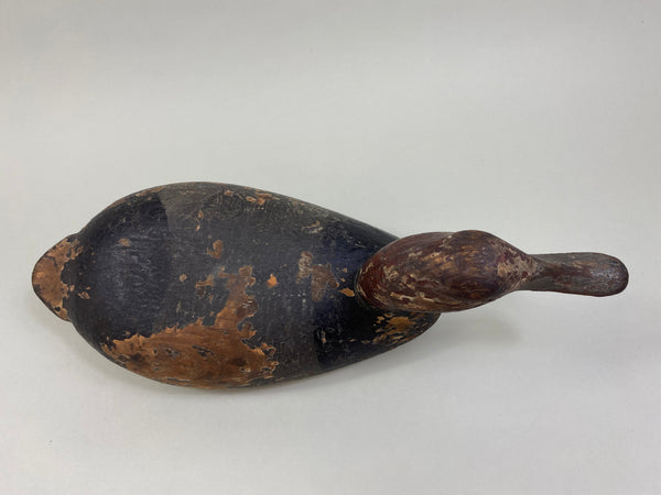 Tobin Meldrum Canvasback Drake, Circa 1930's (#7975)