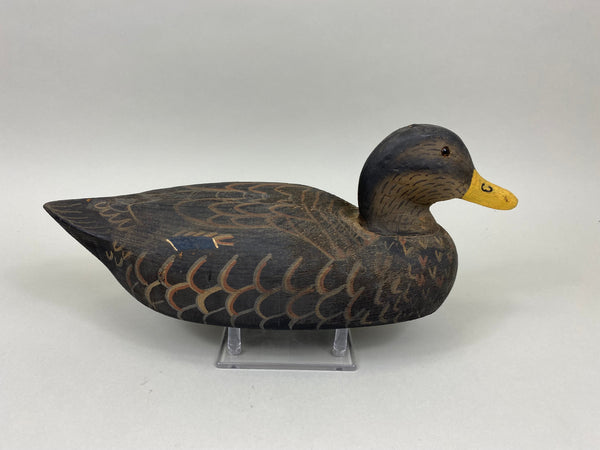 Herters 1893 Series Black Duck (#7978)