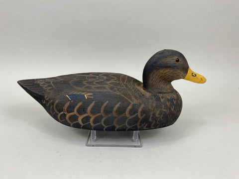 Herters 1893 Series Black Duck (#7978)