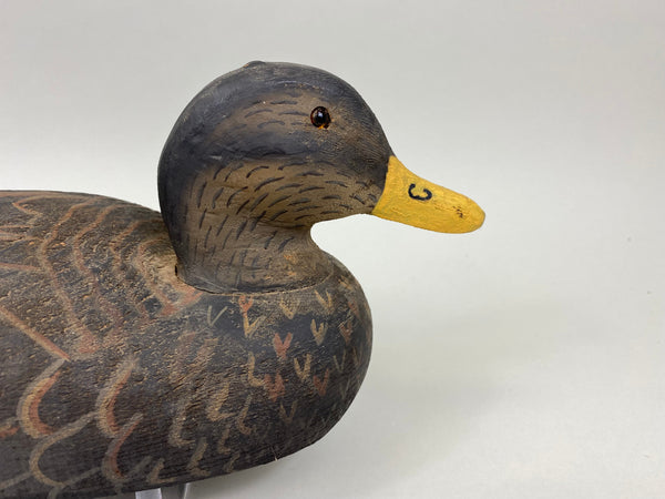 Herters 1893 Series Black Duck (#7978)