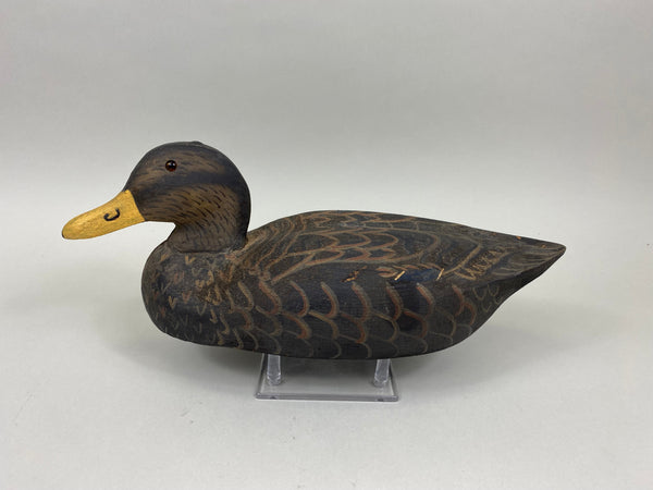 Herters 1893 Series Black Duck (#7978)