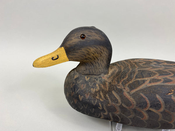 Herters 1893 Series Black Duck (#7978)