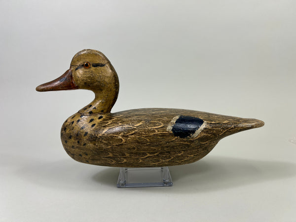 Otto Garren Mallard Hen (#8736)
