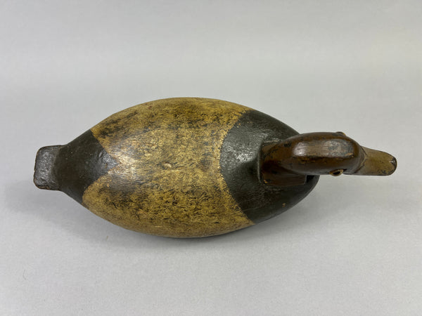 Unknown Illinois River Redhead, Circa 1920's (#3596)