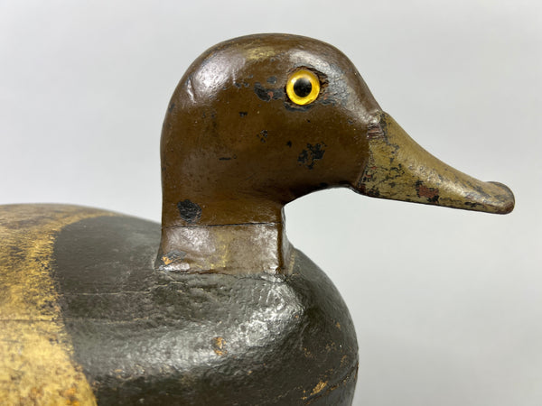 Unknown Illinois River Redhead, Circa 1920's (#3596)