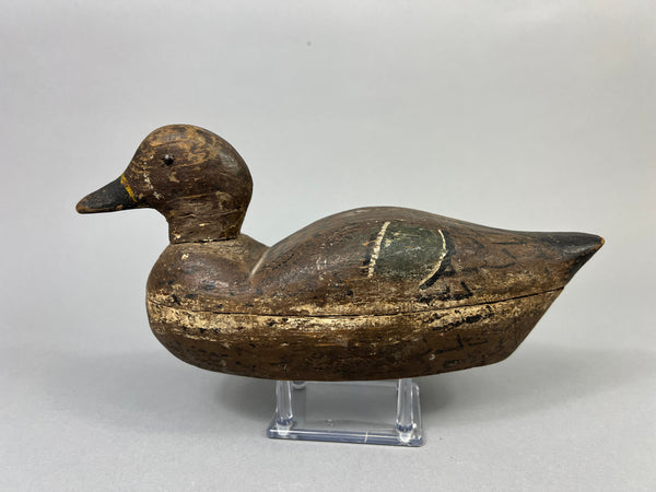 Unknown Illinois River Teal Drake (#1070)