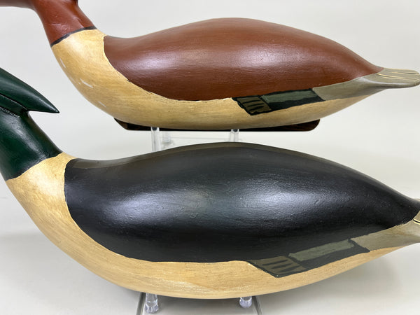 Pair of Swimming Common Mergansers (#5300)