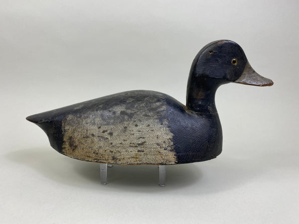 William Clark Bluebill (#8004)