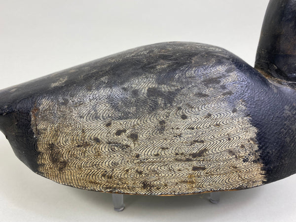 William Clark Bluebill (#8004)