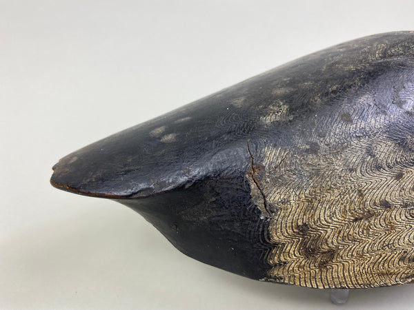 William Clark Bluebill (#8004)