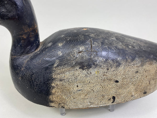 William Clark Bluebill (#8004)