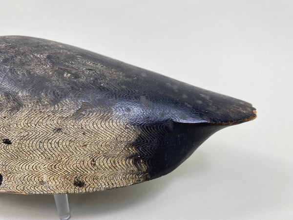 William Clark Bluebill (#8004)