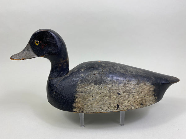 William Clark Bluebill (#8004)