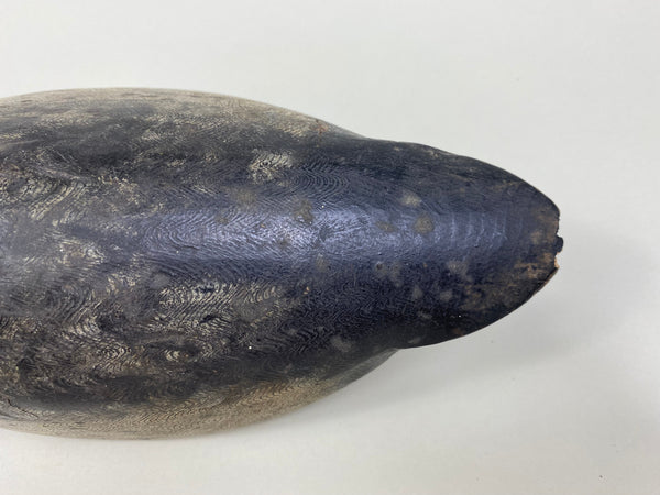 William Clark Bluebill (#8004)