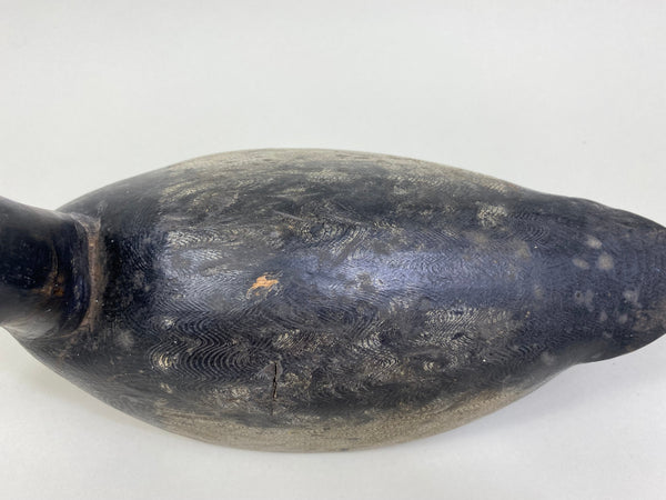 William Clark Bluebill (#8004)