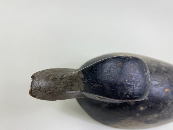 William Clark Bluebill (#8004)