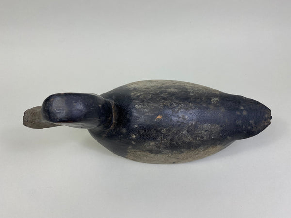 William Clark Bluebill (#8004)