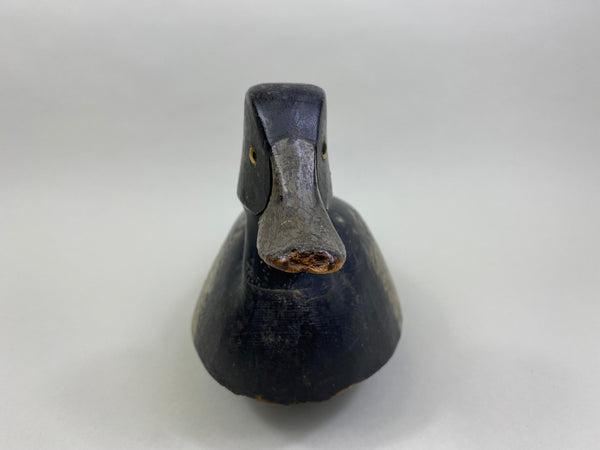 William Clark Bluebill (#8004)