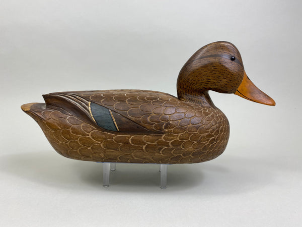 David Simandl Mallard Hen (#8005)