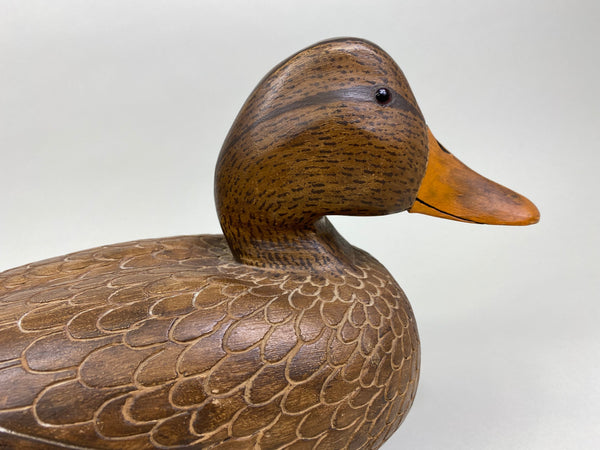 David Simandl Mallard Hen (#8005)