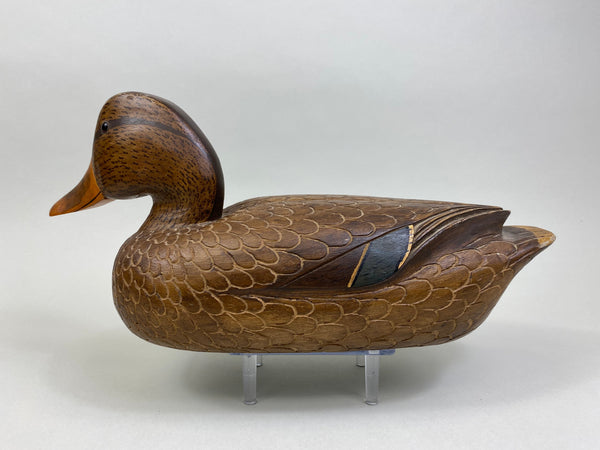 David Simandl Mallard Hen (#8005)