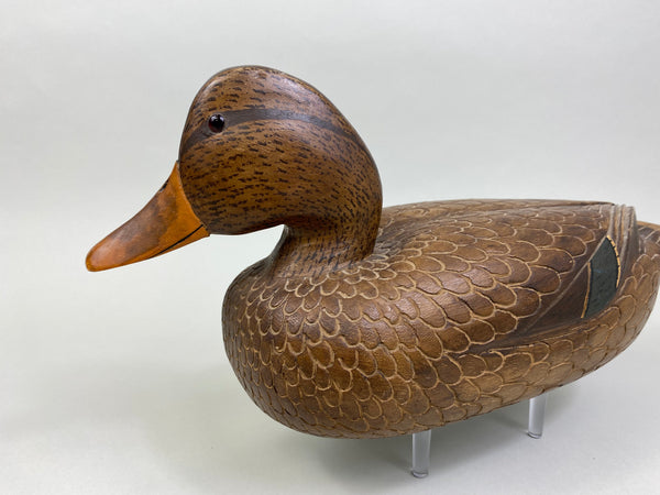 David Simandl Mallard Hen (#8005)