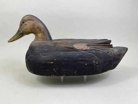 Unique Quebec Black Duck (#8007)