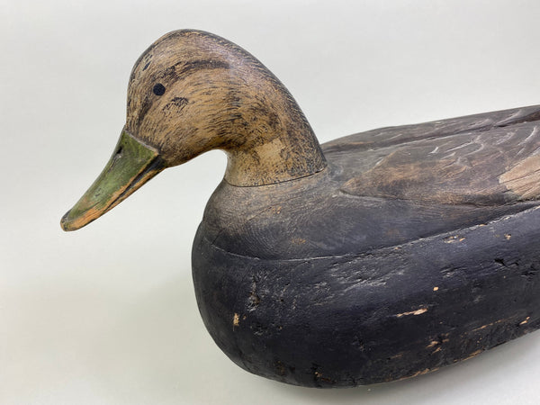 Unique Quebec Black Duck (#8007)