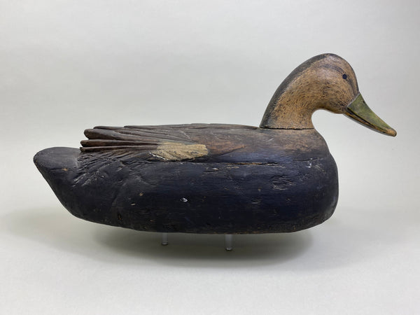 Unique Quebec Black Duck (#8007)