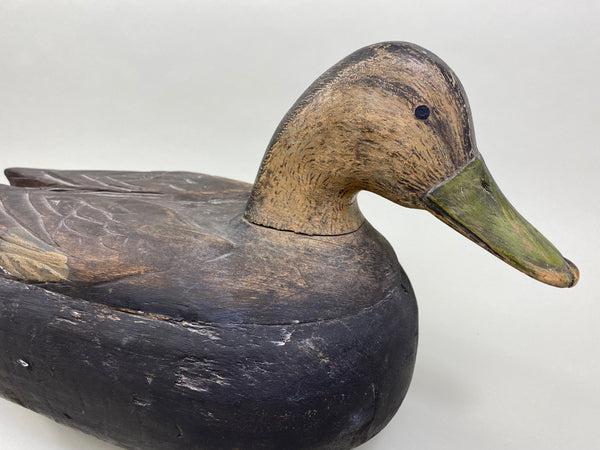 Unique Quebec Black Duck (#8007)