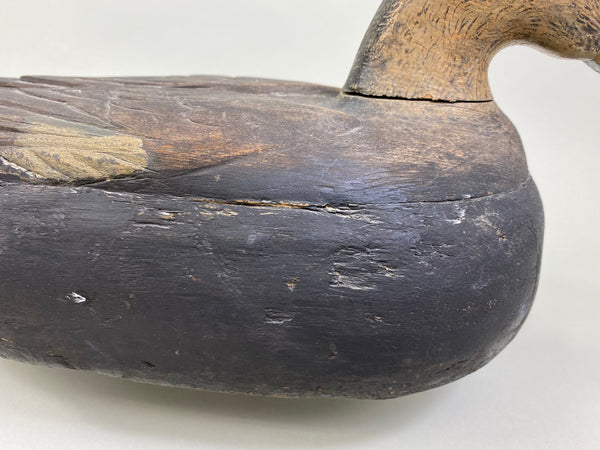 Unique Quebec Black Duck (#8007)