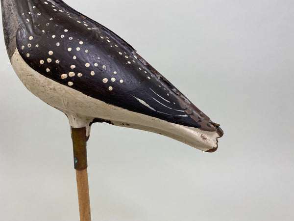 Straher & Sohier Tinnie Shorebird (#8010E)