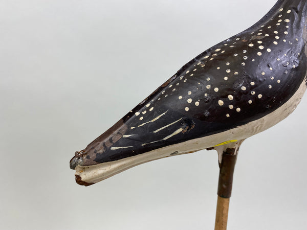 Straher & Sohier Tinnie Shorebird (#8010E)