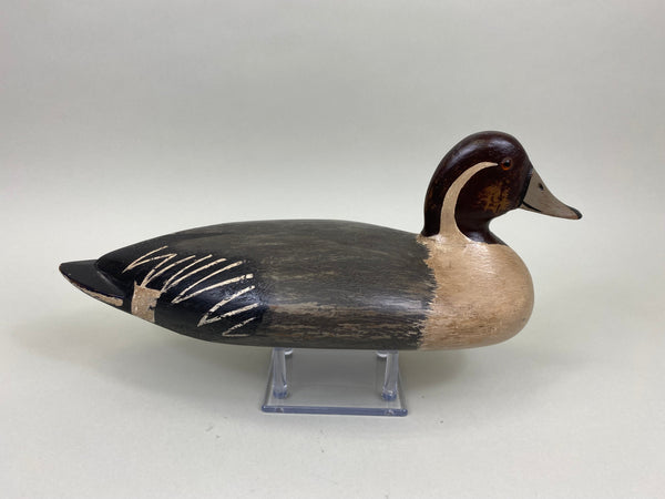 George Sibley Pintail Drake, Circa 1900's (#8012)