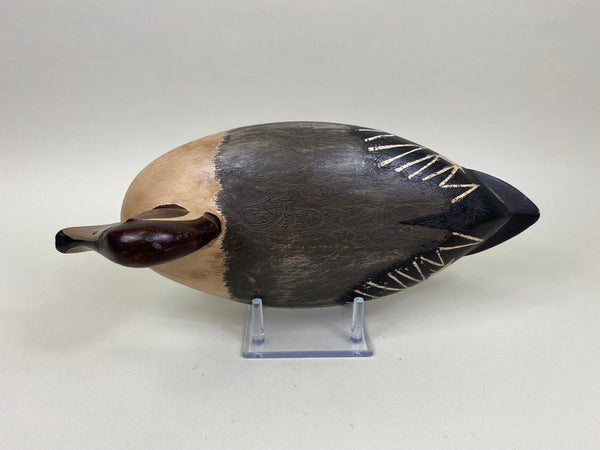 George Sibley Pintail Drake, Circa 1900's (#8012)