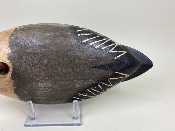 George Sibley Pintail Drake, Circa 1900's (#8012)