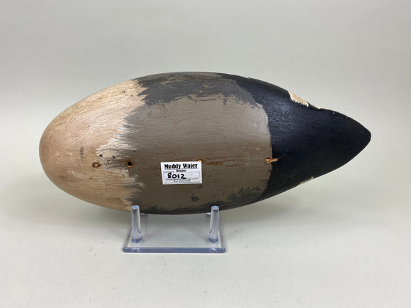 George Sibley Pintail Drake, Circa 1900's (#8012)