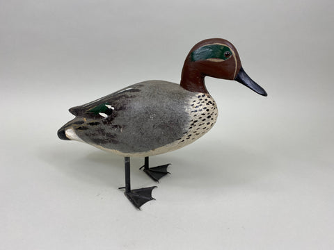 Unknown Full Size Standing Green Wing Teal (#8018)