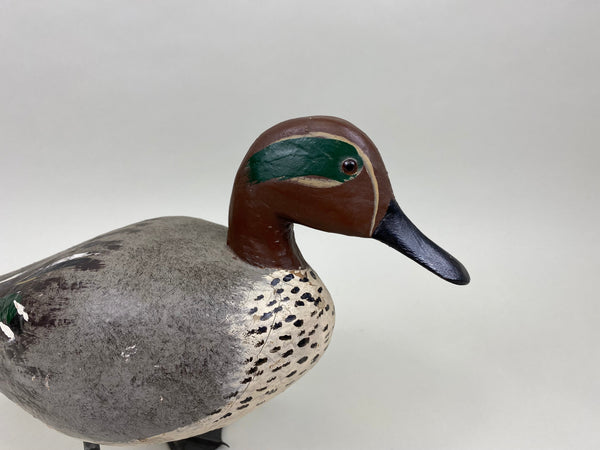 Unknown Full Size Standing Green Wing Teal (#8018)