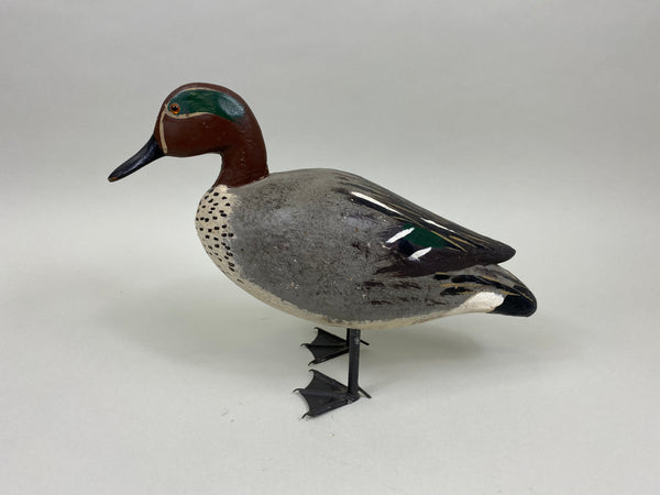 Unknown Full Size Standing Green Wing Teal (#8018)