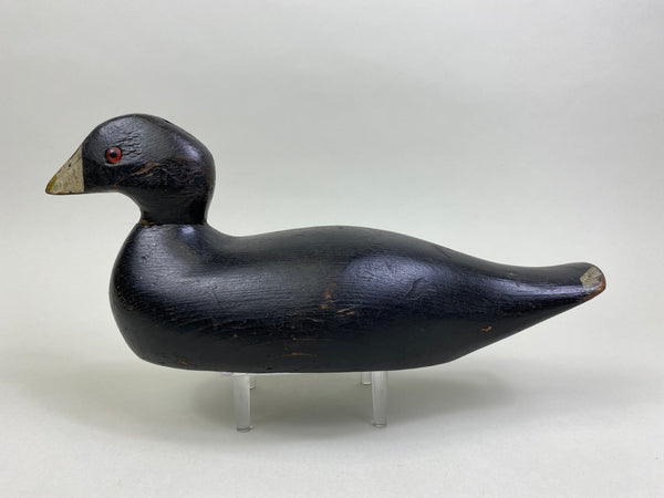 Pratt Factory Coot (#8028)