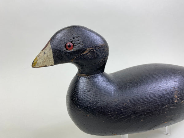 Pratt Factory Coot (#8028)