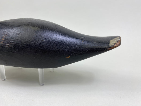 Pratt Factory Coot (#8028)