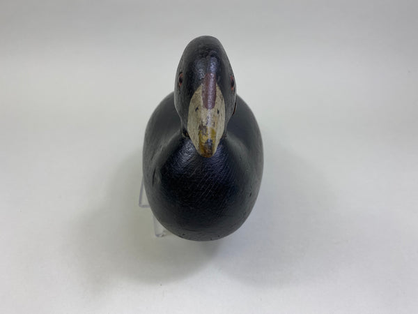 Pratt Factory Coot (#8028)