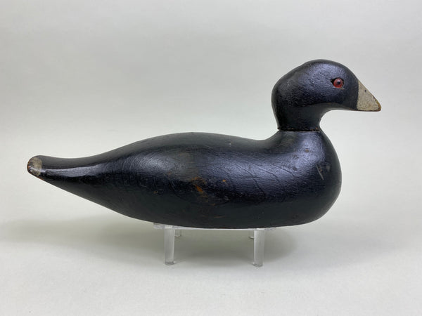 Pratt Factory Coot (#8028)